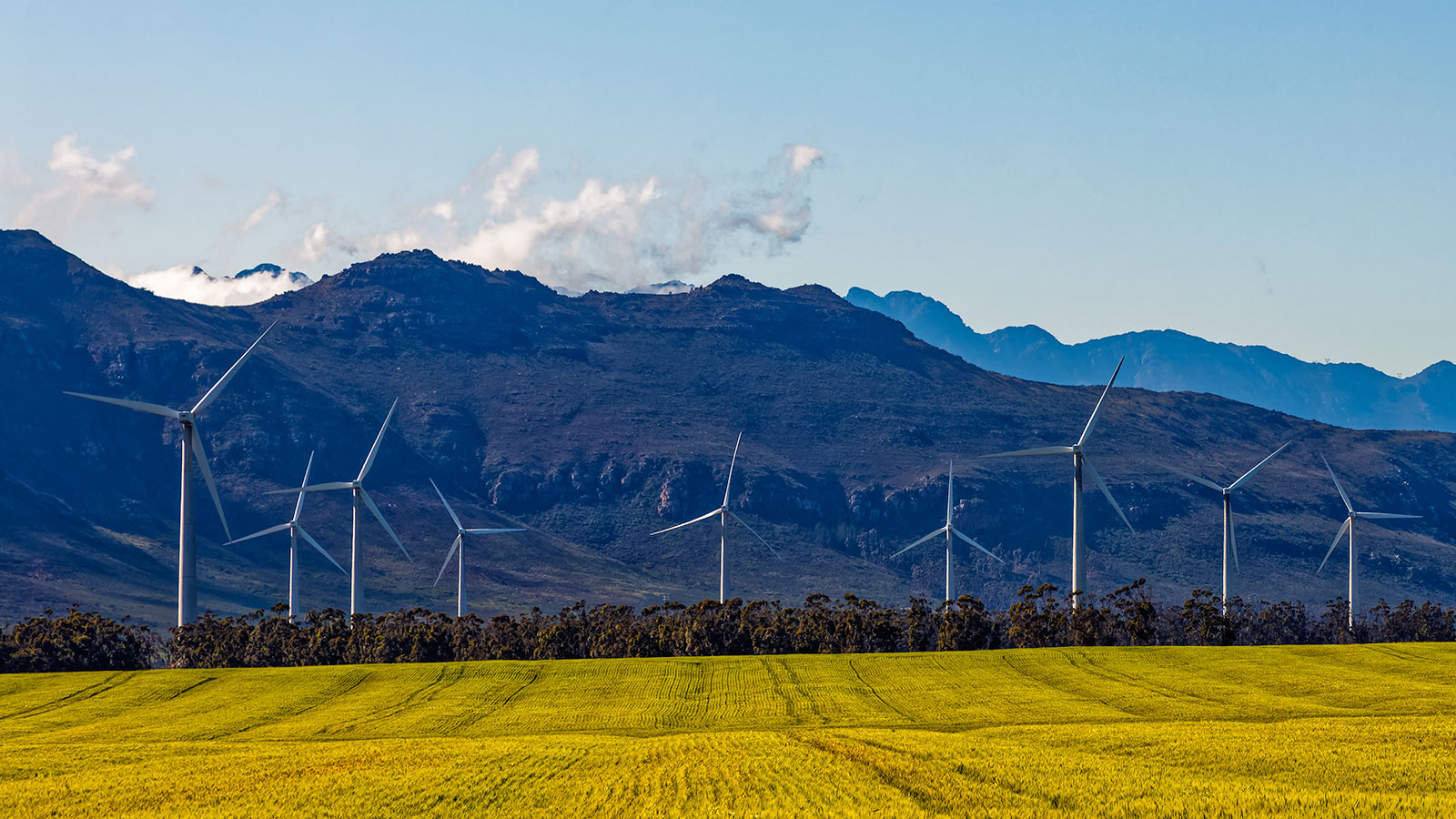 New report sheds doubts on COP28 renewables commitment