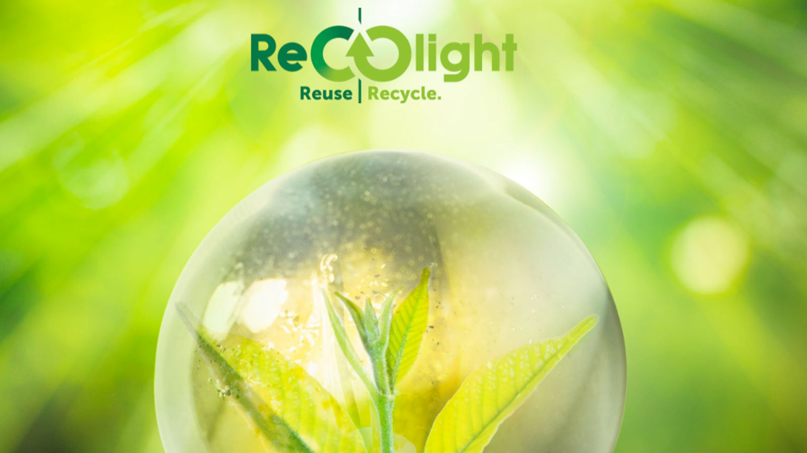 Recolight begins 2024 with significant growth in membership