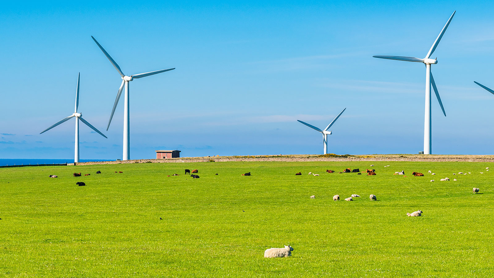 Planning expert welcomes Labour’s lift of onshore wind farm ban