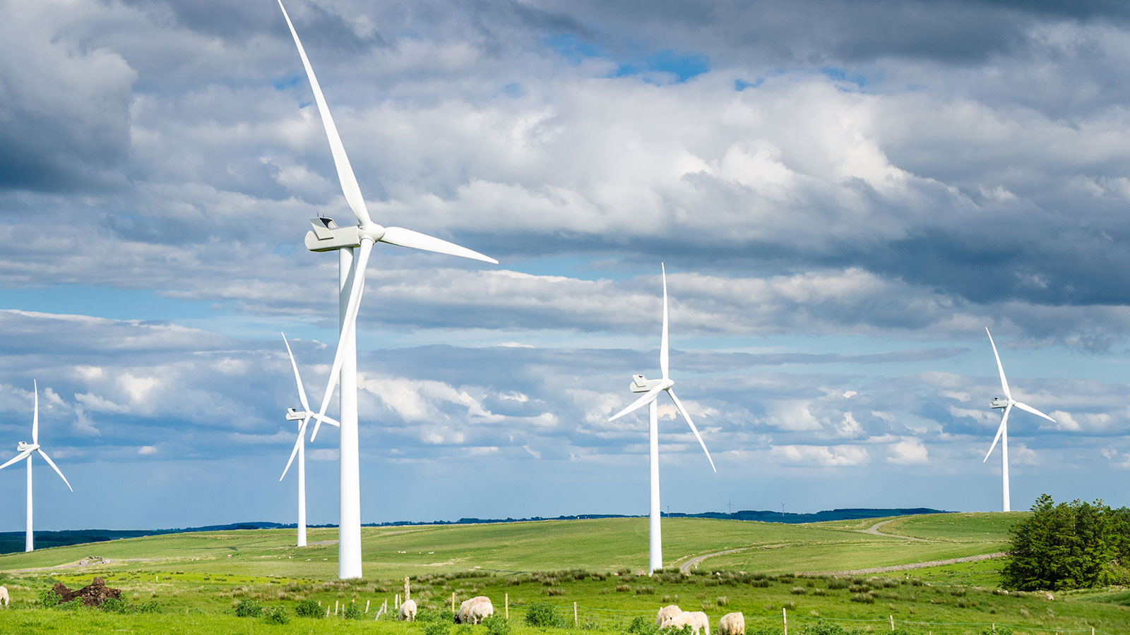 UK Government sets record with largest renewable energy auction to date